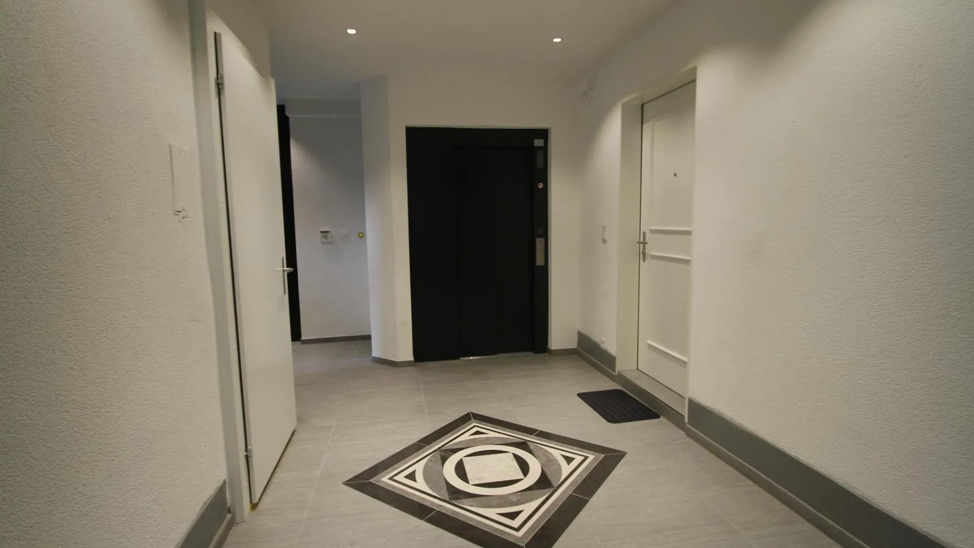Luxury Apartments By Livingdowntown Zurich