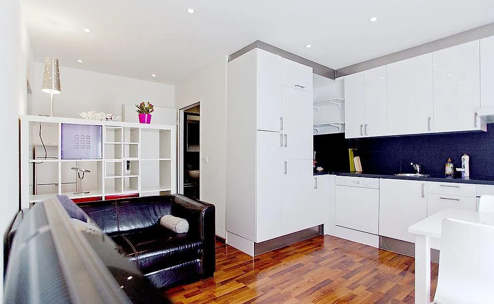 Luxury Apartments By Livingdowntown Zurich